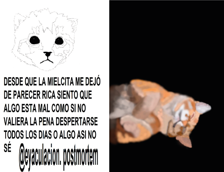 Dos dibujos de un gato X PRENSUTI